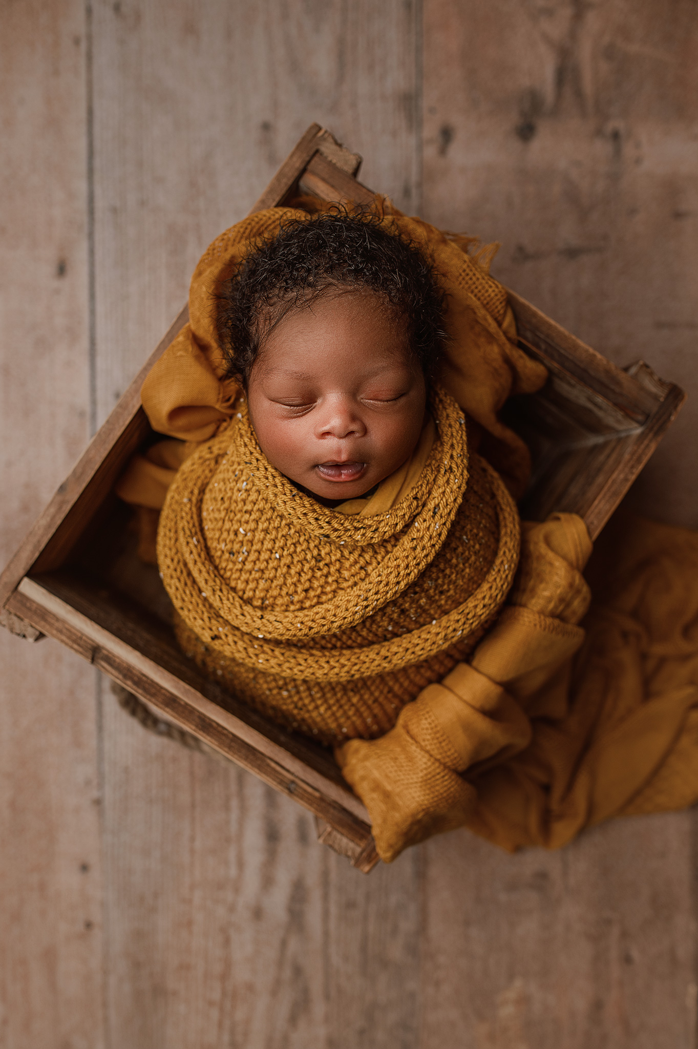 newborn family portraits, nebraska newborn photographer, photography studio, newborn boy in yellow
