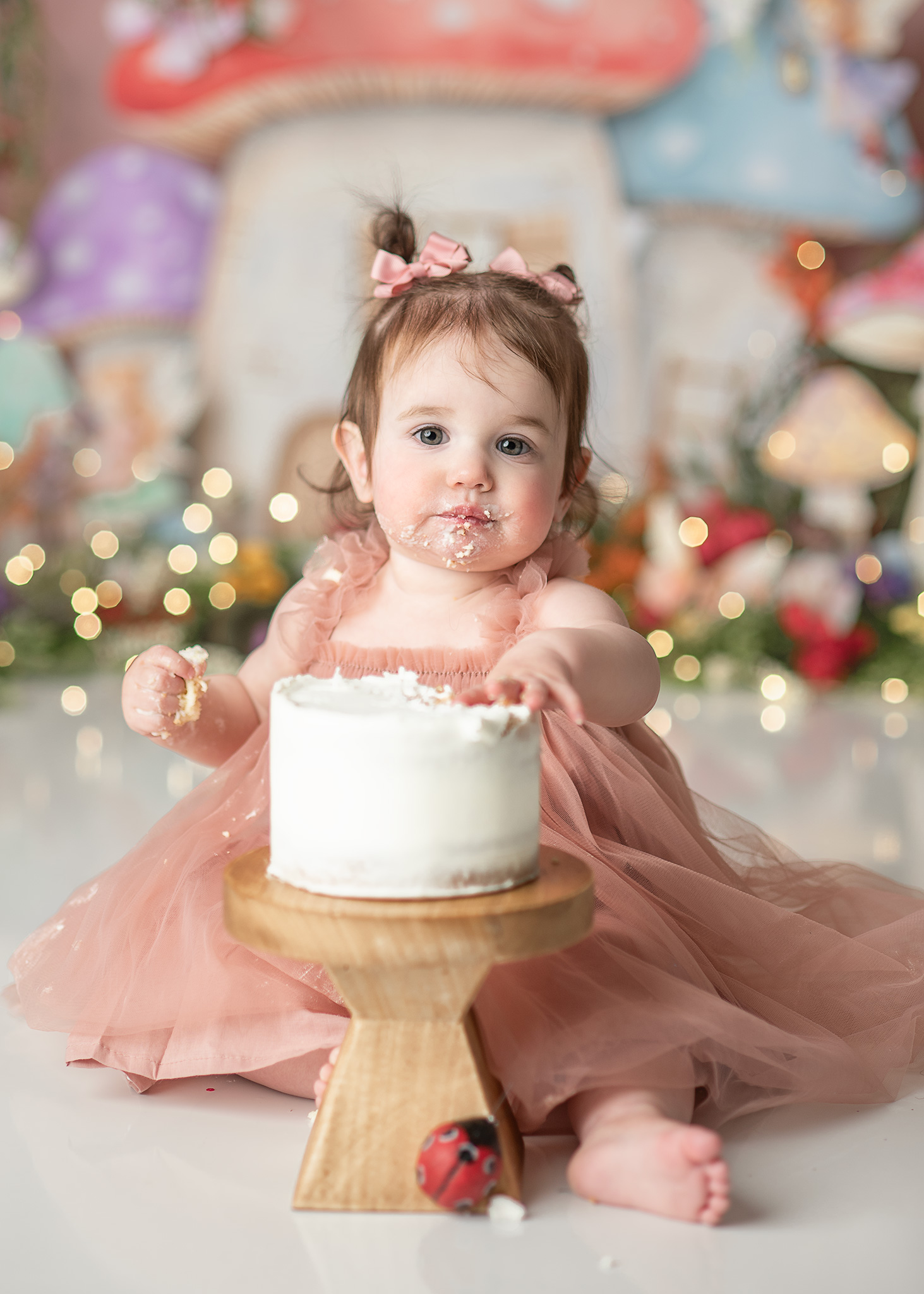 my fairy first birthday, birthday photoshoot nebraska, best first birthday photographer
